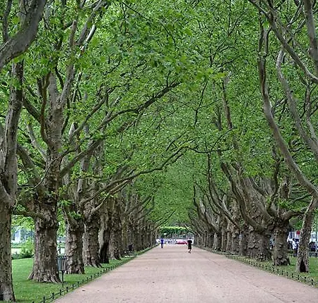 Appartamento Hanza Loft 913 *