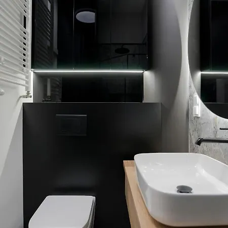 Διαμέρισμα Hanza Loft 913 Στσέτσιν