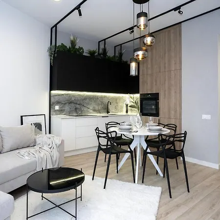 Appartamento Hanza Loft 913 *