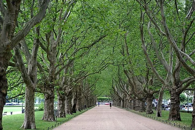 Апартаменты Hanza Loft 913 *